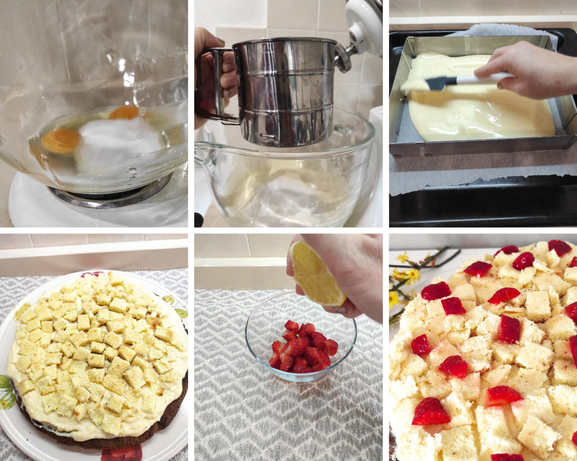 preparazione mimosa 3